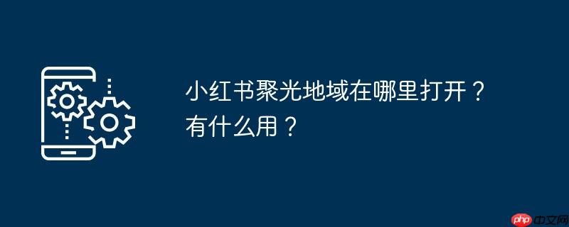 小红书聚光地域在哪里打开?有什么用?
