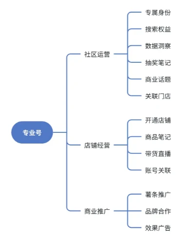 小红书广告投放体系——专业号