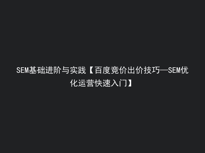 SEM基础进阶与实践【百度竞价出价技巧—SEM优化运营快速入门】