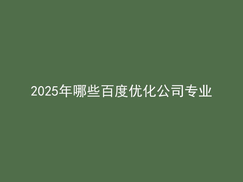 2025年哪些百度优化公司专业
