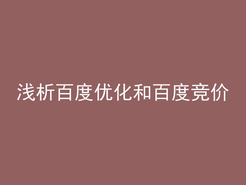 浅析百度优化和百度竞价