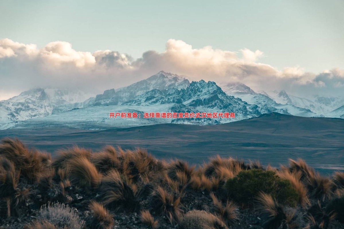 开户前准备：选择靠谱的百度竞价武汉地区代理商